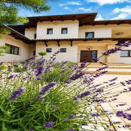 Luxury In Tihany, Balaton 公寓